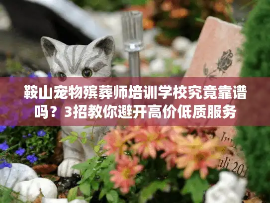 鞍山宠物殡葬师培训学校究竟靠谱吗？3招教你避开高价低质服务