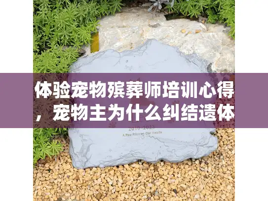 体验宠物殡葬师培训心得，宠物主为什么纠结遗体的专业处理？