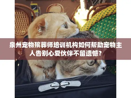 泉州宠物殡葬师培训机构如何帮助宠物主人告别心爱伙伴不留遗憾？