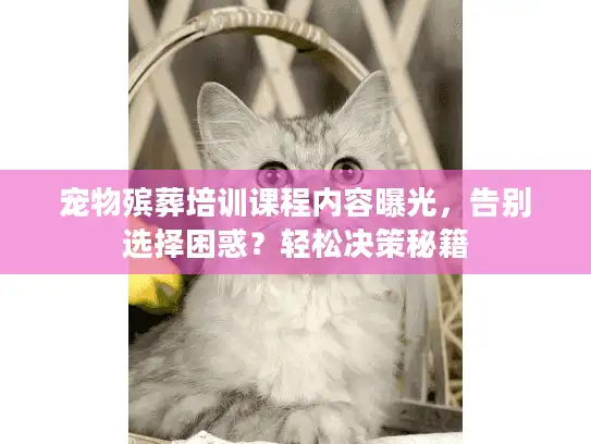 宠物殡葬培训课程内容曝光，告别选择困惑？轻松决策秘籍