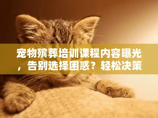 宠物殡葬培训课程内容曝光，告别选择困惑？轻松决策秘籍