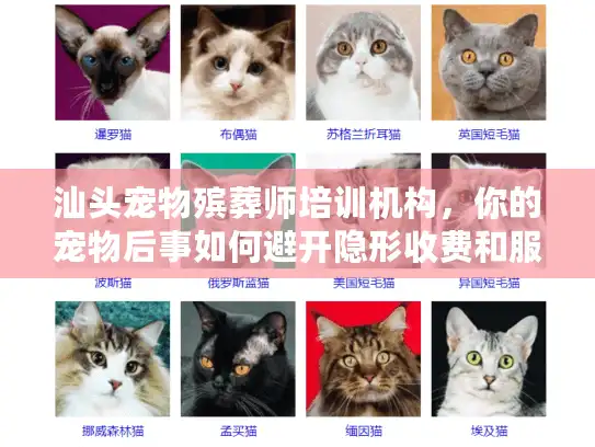 汕头宠物殡葬师培训机构，你的宠物后事如何避开隐形收费和服务陷阱？