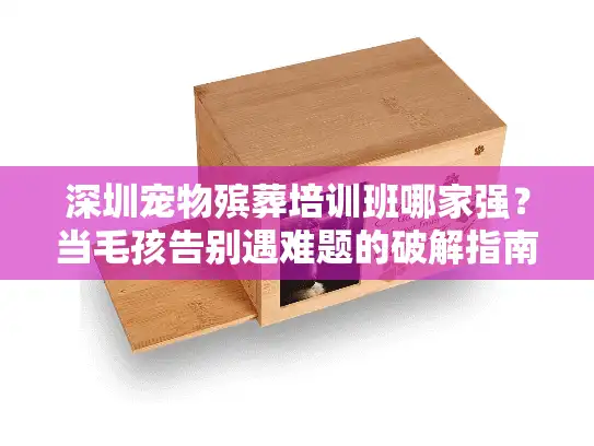 深圳宠物殡葬培训班哪家强？当毛孩告别遇难题的破解指南