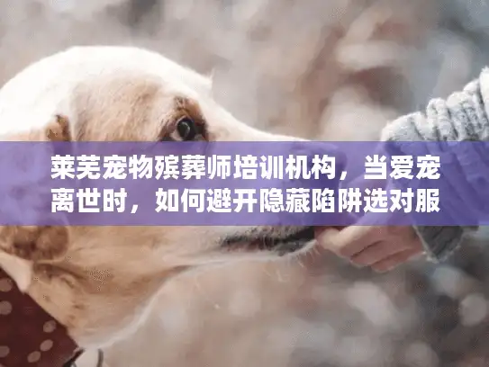莱芜宠物殡葬师培训机构，当爱宠离世时，如何避开隐藏陷阱选对服务？