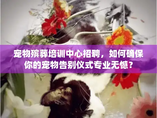 宠物殡葬培训中心招聘，如何确保你的宠物告别仪式专业无憾？