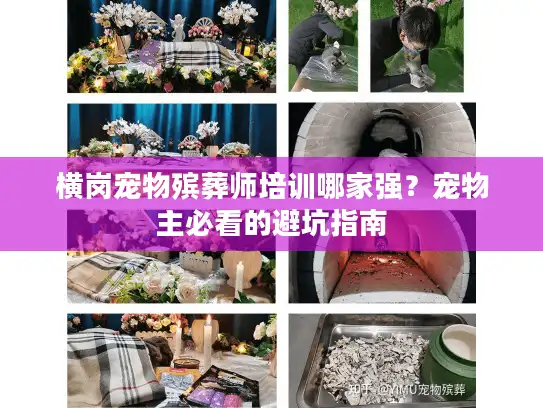 横岗宠物殡葬师培训哪家强？宠物主必看的避坑指南