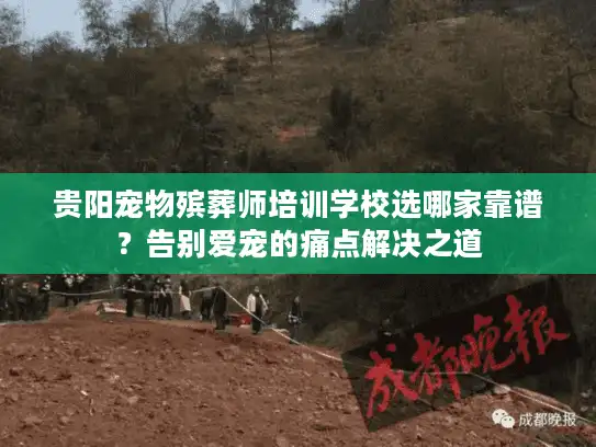 贵阳宠物殡葬师培训学校选哪家靠谱？告别爱宠的痛点解决之道