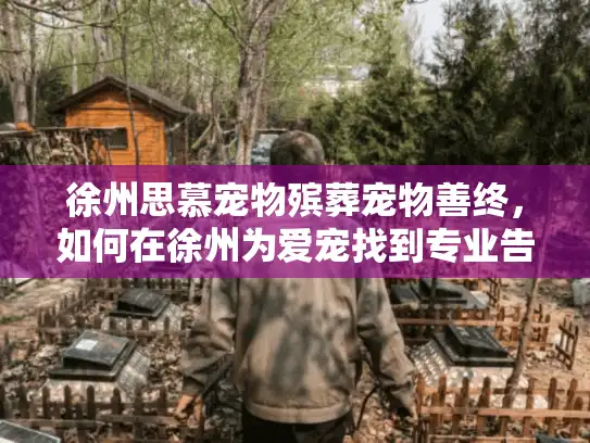 徐州思慕宠物殡葬宠物善终，如何在徐州为爱宠找到专业告别服务？