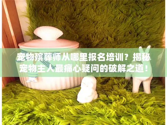 宠物殡葬师从哪里报名培训？揭秘宠物主人最痛心疑问的破解之道！