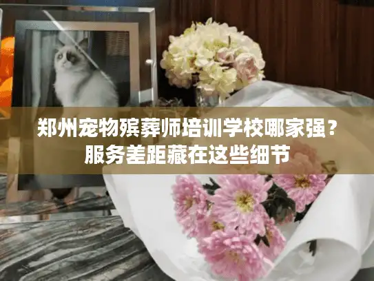 郑州宠物殡葬师培训学校哪家强？服务差距藏在这些细节