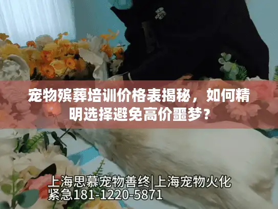 宠物殡葬培训价格表揭秘，如何精明选择避免高价噩梦？