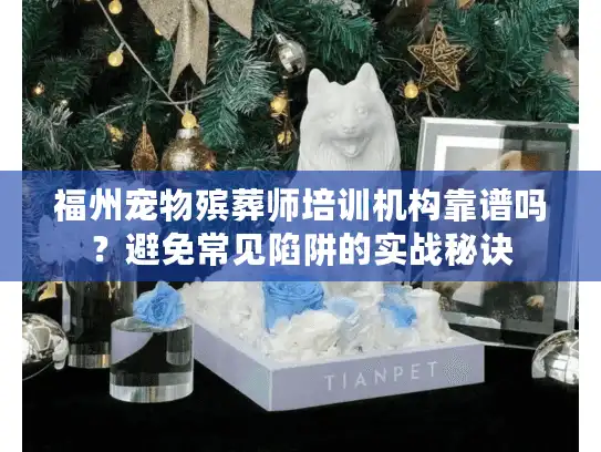 福州宠物殡葬师培训机构靠谱吗？避免常见陷阱的实战秘诀