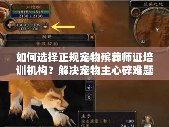 如何选择正规宠物殡葬师证培训机构？解决宠物主心碎难题