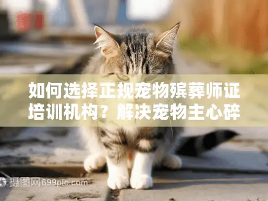 如何选择正规宠物殡葬师证培训机构？解决宠物主心碎难题