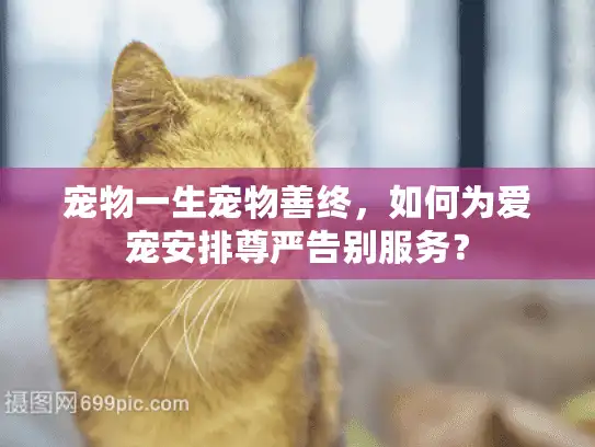 宠物一生宠物善终，如何为爱宠安排尊严告别服务？