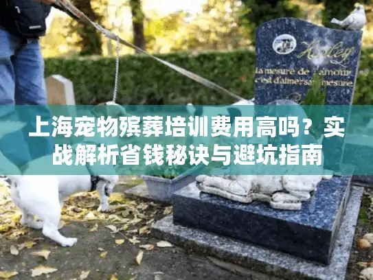 上海宠物殡葬培训费用高吗？实战解析省钱秘诀与避坑指南