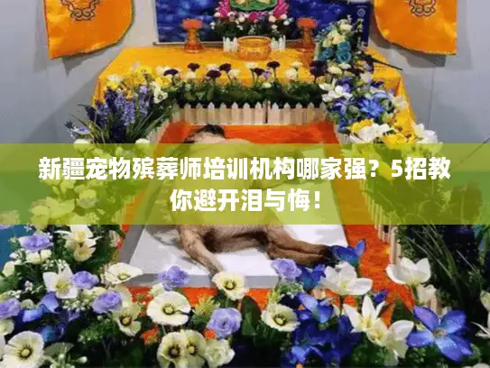 新疆宠物殡葬师培训机构哪家强？5招教你避开泪与悔！