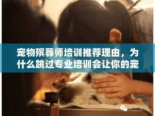 宠物殡葬师培训推荐理由，为什么跳过专业培训会让你的宠物告别更痛苦？