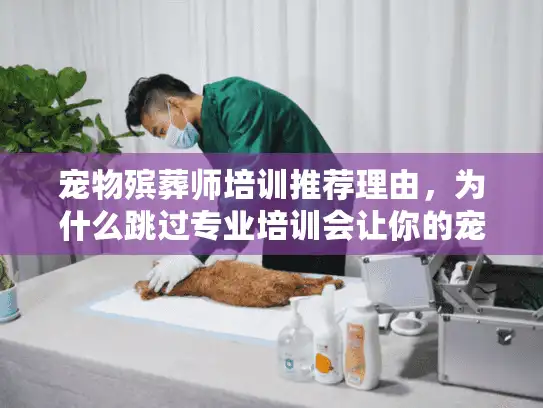 宠物殡葬师培训推荐理由，为什么跳过专业培训会让你的宠物告别更痛苦？