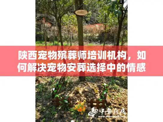 陕西宠物殡葬师培训机构，如何解决宠物安葬选择中的情感困惑？