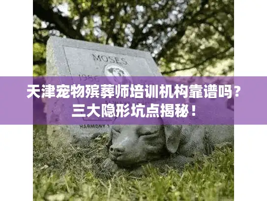天津宠物殡葬师培训机构靠谱吗？三大隐形坑点揭秘！