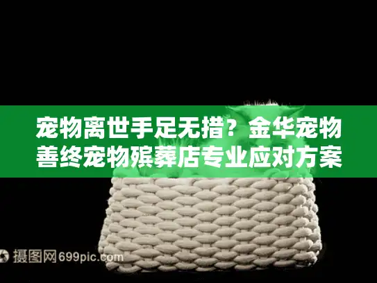 宠物离世手足无措？金华宠物善终宠物殡葬店专业应对方案
