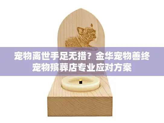 宠物离世手足无措？金华宠物善终宠物殡葬店专业应对方案