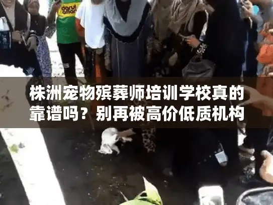 株洲宠物殡葬师培训学校真的靠谱吗？别再被高价低质机构坑了！
