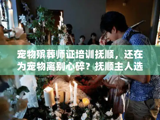 宠物殡葬师证培训抚顺，还在为宠物离别心碎？抚顺主人选服务必看新招！