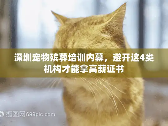深圳宠物殡葬培训内幕，避开这4类机构才能拿高薪证书
