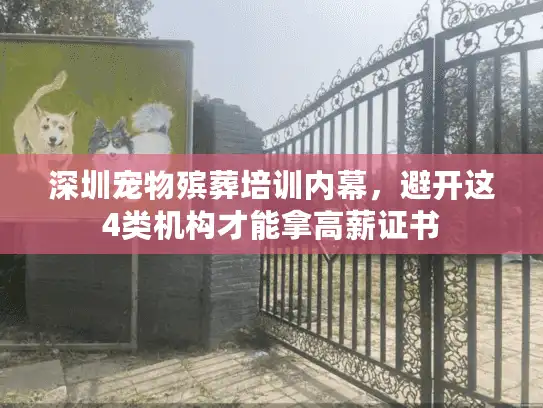 深圳宠物殡葬培训内幕，避开这4类机构才能拿高薪证书