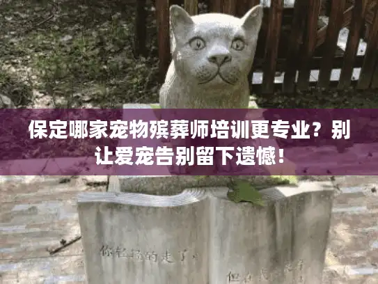 保定哪家宠物殡葬师培训更专业？别让爱宠告别留下遗憾！