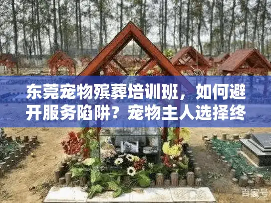 东莞宠物殡葬培训班，如何避开服务陷阱？宠物主人选择终极指南
