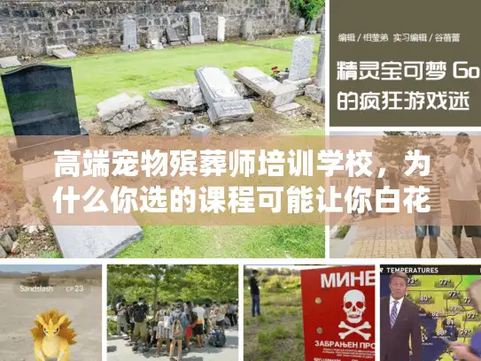 高端宠物殡葬师培训学校，为什么你选的课程可能让你白花钱？