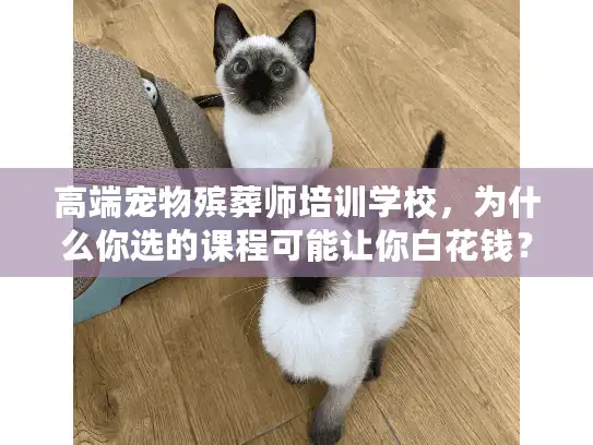 高端宠物殡葬师培训学校，为什么你选的课程可能让你白花钱？
