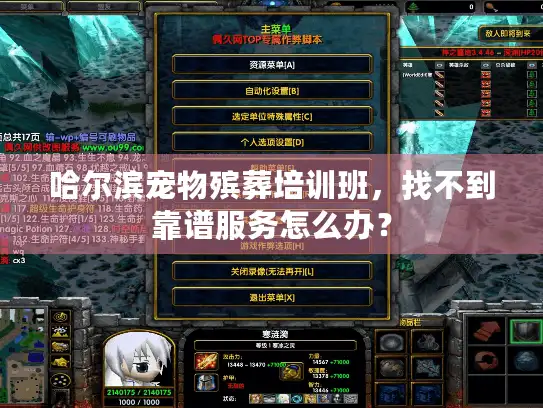 哈尔滨宠物殡葬培训班，找不到靠谱服务怎么办？