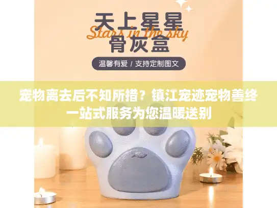 宠物离去后不知所措？镇江宠迹宠物善终一站式服务为您温暖送别
