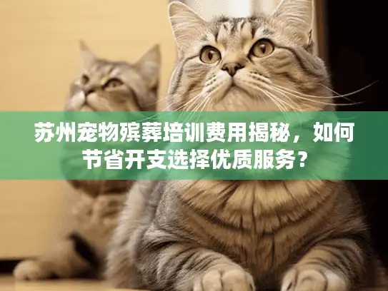 苏州宠物殡葬培训费用揭秘，如何节省开支选择优质服务？