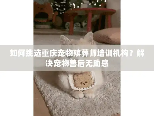 如何挑选重庆宠物殡葬师培训机构？解决宠物善后无助感