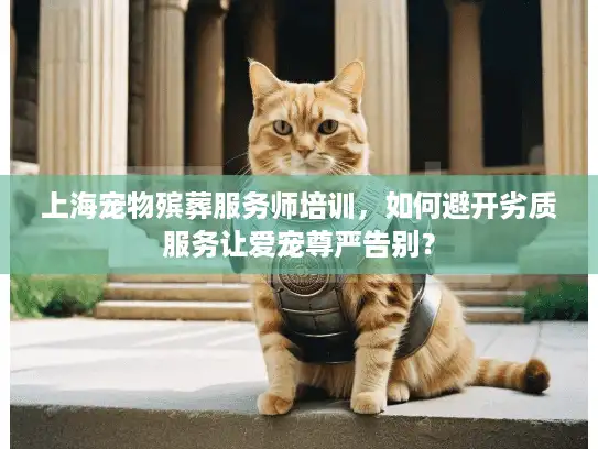 上海宠物殡葬服务师培训，如何避开劣质服务让爱宠尊严告别？