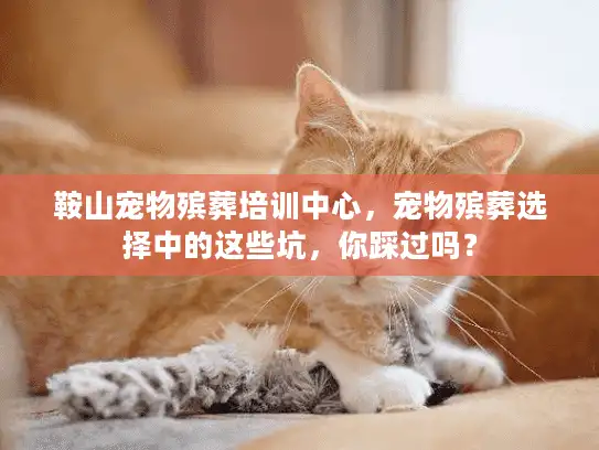 鞍山宠物殡葬培训中心，宠物殡葬选择中的这些坑，你踩过吗？