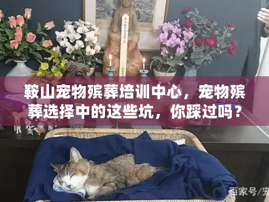 鞍山宠物殡葬培训中心，宠物殡葬选择中的这些坑，你踩过吗？