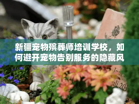 新疆宠物殡葬师培训学校，如何避开宠物告别服务的隐藏风险？