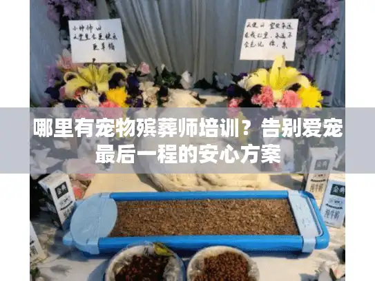 哪里有宠物殡葬师培训？告别爱宠最后一程的安心方案