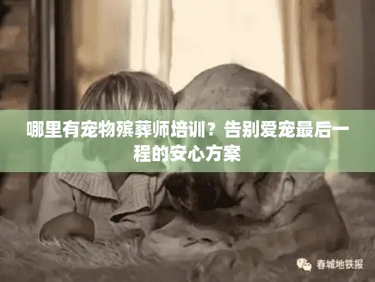 哪里有宠物殡葬师培训？告别爱宠最后一程的安心方案