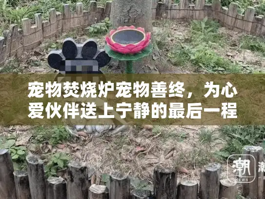 宠物焚烧炉宠物善终，为心爱伙伴送上宁静的最后一程？