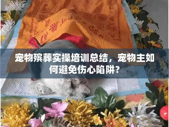 宠物殡葬实操培训总结，宠物主如何避免伤心陷阱？