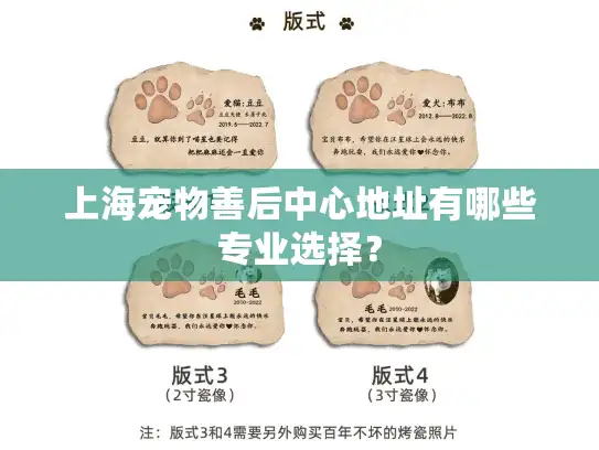 上海宠物善后中心地址有哪些专业选择？