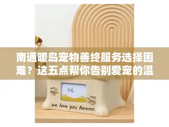 南通暖岛宠物善终服务选择困难？这五点帮你告别爱宠的温暖告别方案