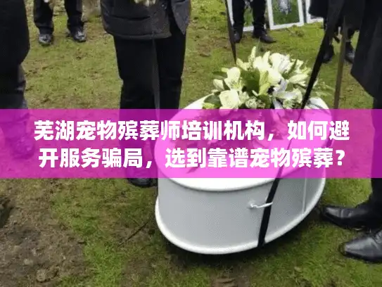 芜湖宠物殡葬师培训机构，如何避开服务骗局，选到靠谱宠物殡葬？